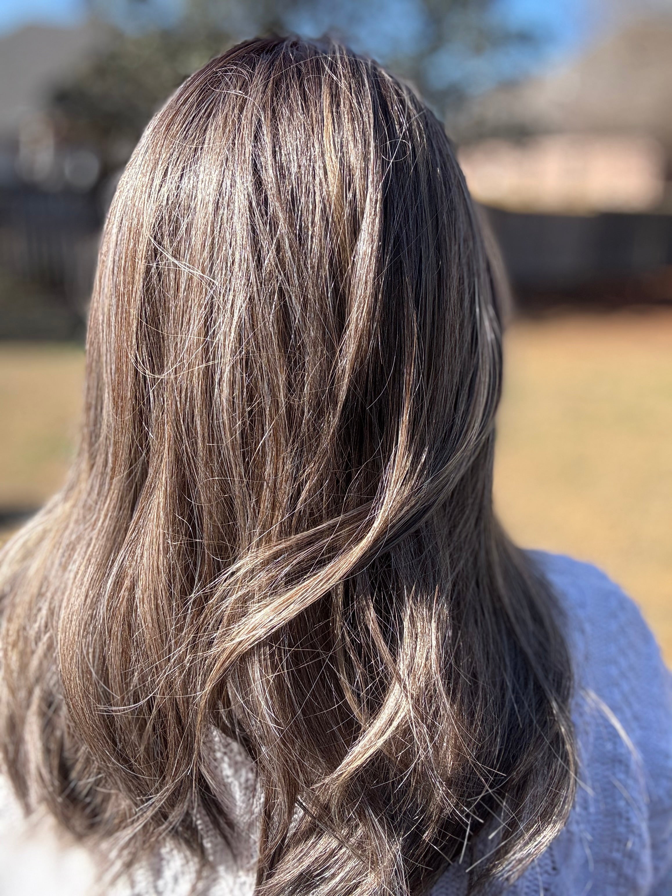 Shelby Brown Sugar Blonde