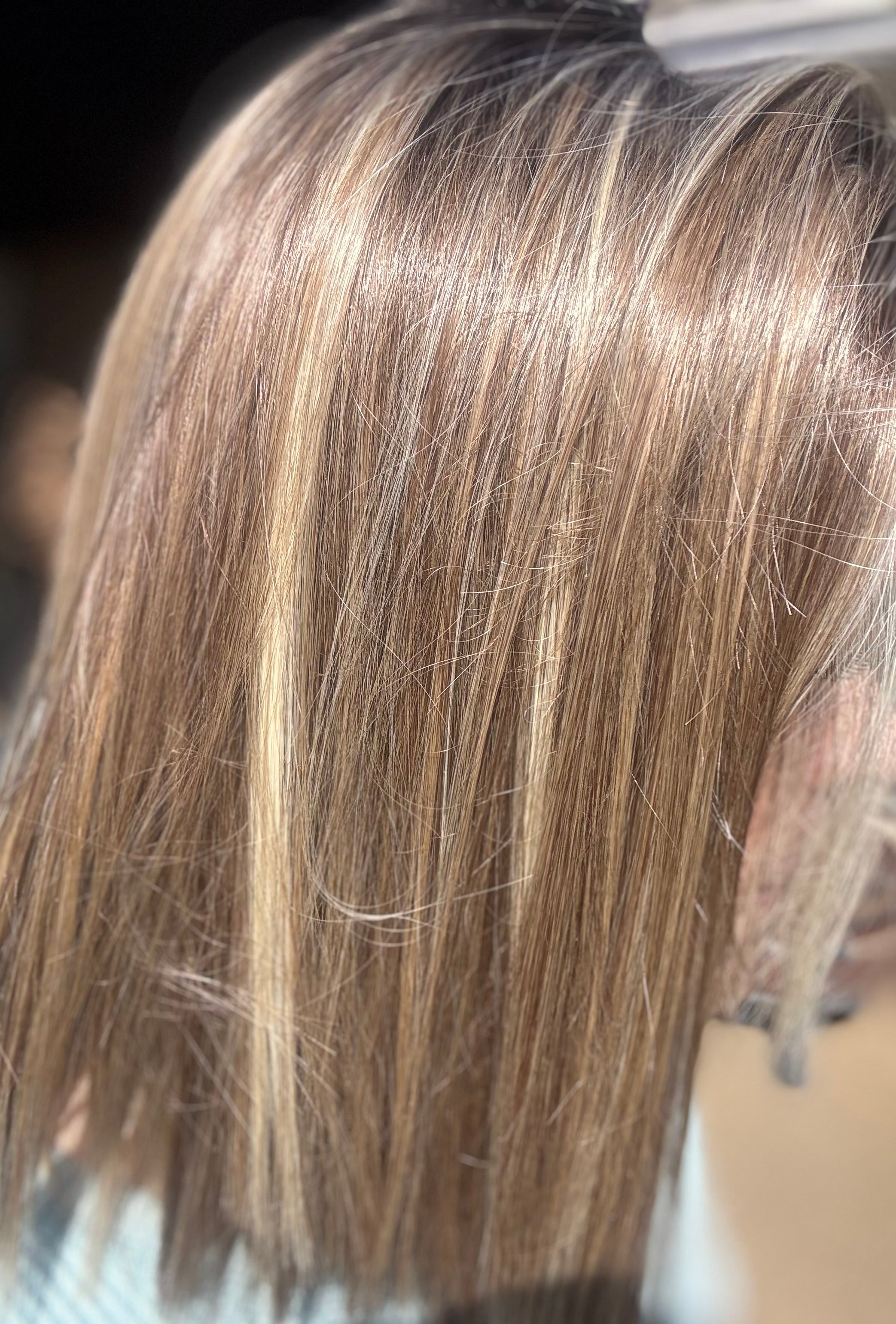 Clarabelle Brown Sugar Blonde